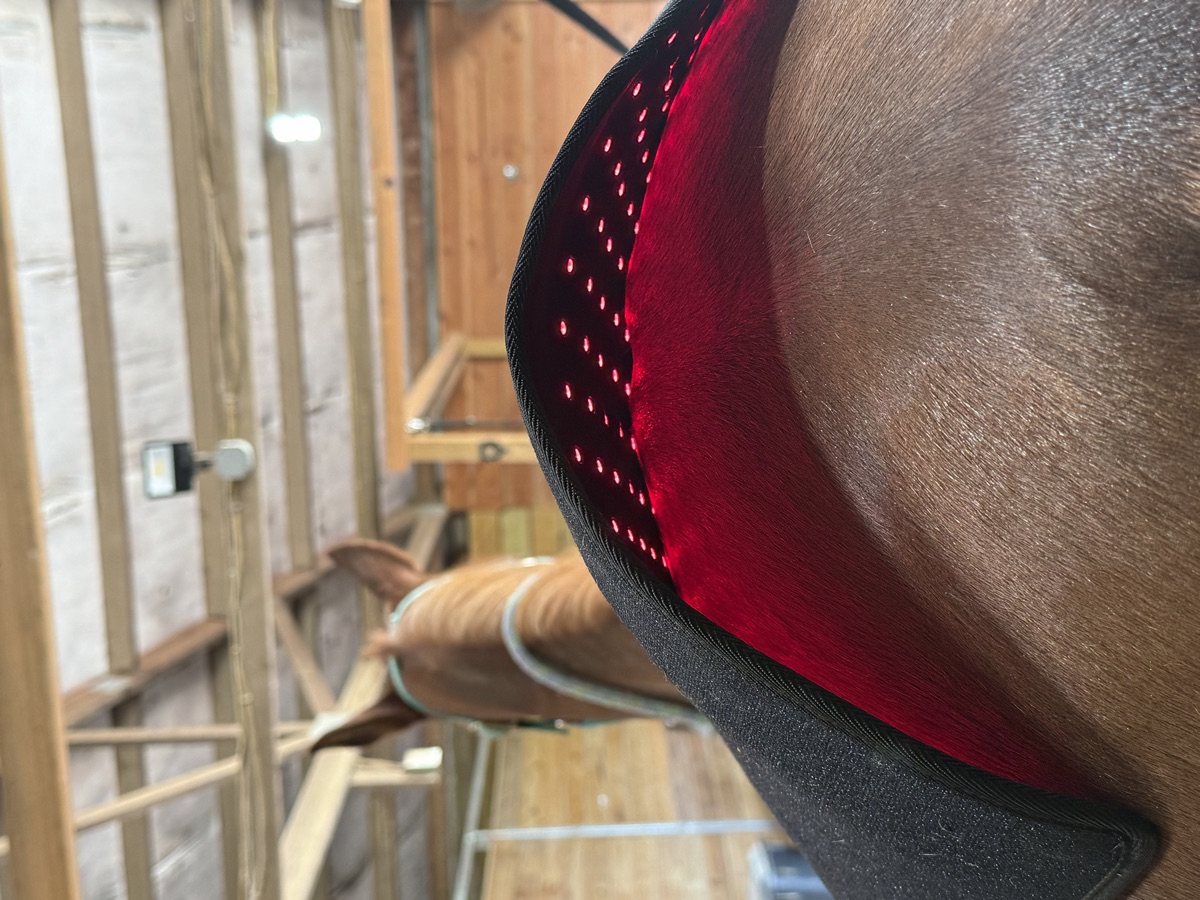 Red light therapy