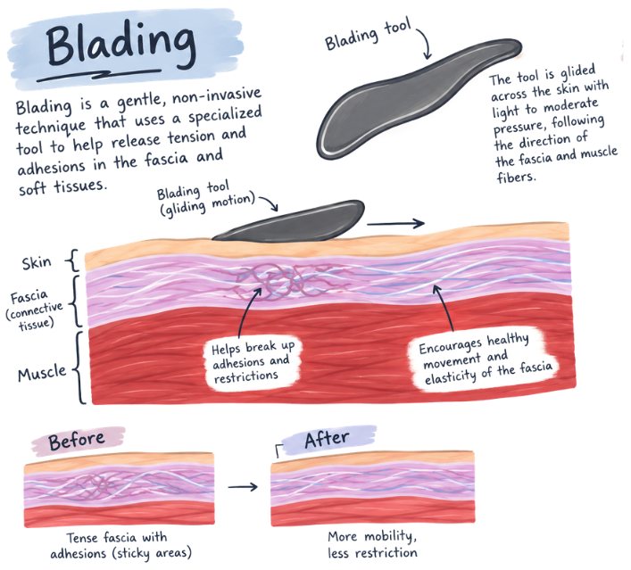 Illustrated diagram: a blading tool glides across the skin with light to moderate pressure along the fascia and muscle fibers, helping break up adhesions. Before: tense fascia with sticky areas. After: more mobility, less restriction.